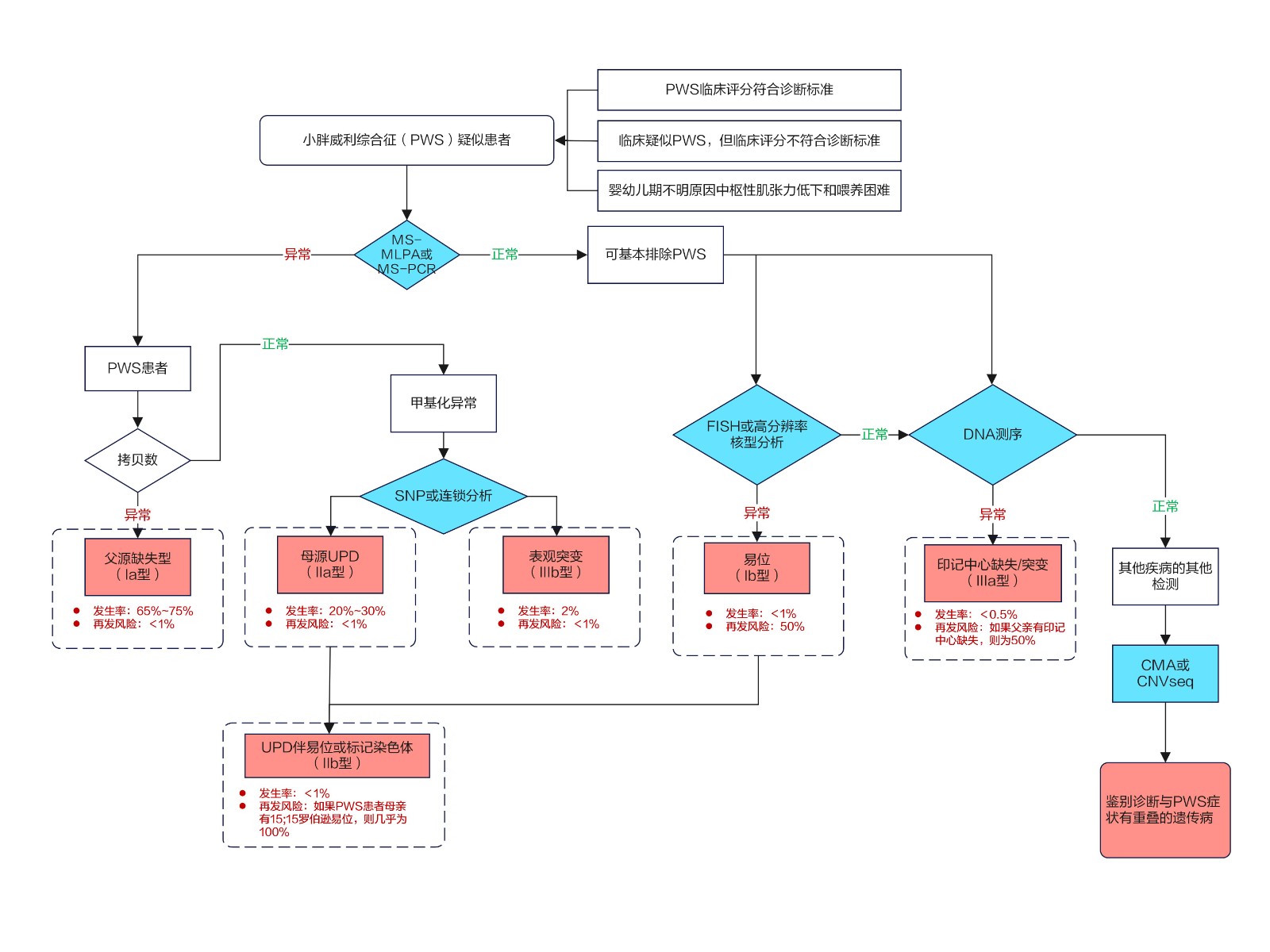 PWS基因诊断流程图及再发风险-修改_01.jpg