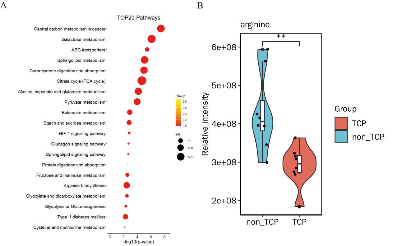 1770860209722152.png 1770860209722152.png